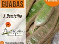 🍃Guabas ☀️1$/ 3 unidades _  Y no te preocupes por el mínimo de tu compra todo envío a cualquier parte de Panamá y Panamá Oeste es 2$  Contáctanos al 60204987 para solicitar nuestra lista actualizada de productos  @fincamisueno.pty @delisweet_ @floresdelalmapanama @ivantapia28 @miss52agujas