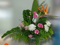 Con un toque Exótico  Somos tu centro de Inolvidables Momentos 💚  Personaliza tus  💐Flores  🎈Globos 🍓Frutas 🍴Catering  📝 Eventos Y mucho más  Servicio A Domicilio📞 60204987  Somos @artenglobospanama Y @floresdelalmapanama  #floresdelalmapanamá  #floresdelalmapanama #festivos #Panamá #panamáoeste #Artenglobospanama  #Artenglobospanamá #flowerarrangement #babyshower  #15años #quinceaños #happybirthday #anniversary  #fathersday #diadelamadre #amor #mothersday #anniversary #love  #sanvalentín #díadelpadre #bodas #wedding