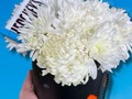 Para tí ♥️  Somos tu centro de Inolvidables Momentos 💚  Personaliza tus  💐Flores  🎈Globos 🍓Frutas 🍴Catering  📝 Eventos Y mucho más  Servicio A Domicilio📞 60204987  Somos @artenglobospanama Y @floresdelalmapanama  #floresdelalmapanamá  #floresdelalmapanama #festivos #Panamá #panamáoeste #Artenglobospanama  #Artenglobospanamá #flowerarrangement #babyshower  #15años #quinceaños #happybirthday #anniversary  #fathersday #diadelamadre #amor #mothersday #anniversary #love  #sanvalentín #díadelpadre #bodas #wedding