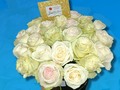 Box de rosas  Somos tu centro de Inolvidables Momentos 💚  Personaliza tus  💐Flores  🎈Globos 🍓Frutas 🍴Catering  📝 Eventos Y mucho más  Servicio A Domicilio📞 60204987  Somos @artenglobospanama Y @floresdelalmapanama  #floresdelalmapanamá  #floresdelalmapanama #festivos #Panamá #panamáoeste #Artenglobospanama  #Artenglobospanamá #flowerarrangement #babyshower  #15años #quinceaños #happybirthday #anniversary  #fathersday #diadelamadre #amor #mothersday #anniversary #love  #sanvalentín #díadelpadre #bodas #wedding