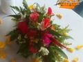 Centro de mesa tropical 🌴  Somos tu centro de Inolvidables Momentos 💚  Personaliza tus  💐Flores  🎈Globos 🍓Frutas 🍴Catering  📝 Eventos Y mucho más  Servicio A Domicilio📞 60204987  Somos @artenglobospanama Y @floresdelalmapanama  #floresdelalmapanamá  #floresdelalmapanama #festivos #Panamá #panamáoeste #Artenglobospanama  #Artenglobospanamá #flowerarrangement #babyshower  #15años #quinceaños #happybirthday #anniversary  #fathersday #diadelamadre #amor #mothersday #anniversary #love  #sanvalentín #díadelpadre #bodas #wedding