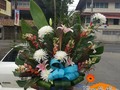 Somos tu centro de Inolvidables Momentos 💚  Personaliza tus  💐Flores  🎈Globos 🍓Frutas 🍴Catering  📝 Eventos Y mucho más  Servicio A Domicilio📞 60204987  Somos @artenglobospanama Y @floresdelalmapanama  #floresdelalmapanamá  #floresdelalmapanama #festivos #Panamá #panamáoeste #Artenglobospanama  #Artenglobospanamá #flowerarrangement #babyshower  #15años #quinceaños #happybirthday #anniversary  #fathersday #diadelamadre #amor #mothersday #anniversary #love  #sanvalentín #díadelpadre #bodas #wedding