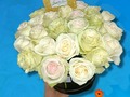 Caja de Rosas.  Somos tu centro de Inolvidables Momentos 💚  Personaliza tus  💐Flores  🎈Globos 🍓Frutas 🍴Catering  📝 Eventos Y mucho más  Servicio A Domicilio📞 60204987  Somos @artenglobospanama Y @floresdelalmapanama  #floresdelalmapanamá  #floresdelalmapanama #festivos #Panamá #panamáoeste #Artenglobospanama  #Artenglobospanamá #flowerarrangement #babyshower  #15años #quinceaños #happybirthday #anniversary  #fathersday #diadelamadre #amor #mothersday #anniversary #love  #sanvalentín #díadelpadre #bodas #wedding