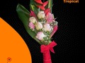 Súper versátil. Es un ramo de flores variadas con toque tropical con flores a selección de la casa.  Perfecto para certámenes de belleza   Somos tu centro de Inolvidables Momentos 💚  Personaliza tus  💐Flores  🎈Globos 🍓Frutas 🍴Catering  📝 Eventos Y mucho más  Servicio A Domicilio📞 60204987  Somos @artenglobospanama Y @floresdelalmapanama  #floresdelalmapanamá  #floresdelalmapanama #festivos #Panamá #panamáoeste #Artenglobospanama  #Artenglobospanamá #flowerarrangement #babyshower  #15años #quinceaños #happybirthday #anniversary  #fathersday #diadelamadre #amor #mothersday #anniversary #love  #sanvalentín #díadelpadre #bodas #wedding