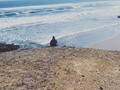 #pichilemu 🌊