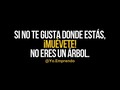 Estás de acuerdo? 🔥 . . #yoemprendo #generandoconsciencia #aprenderahora #luxury #motivation #inspiration #entrepreneur #life #lifestyle #vida #entepreneur #emprendedores #dinero #dolar #motivacion #inspiracion #libertad #trabajo #viajar #empresa #exito #success