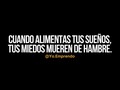 Dale like si estás de acuerdo🔥 . . #yoemprendo #generandoconsciencia #aprenderahora #luxury #motivation #inspiration #entrepreneur #life #lifestyle #vida #entepreneur #emprendedores #dinero #dolar #motivacion #inspiracion #libertad #trabajo #viajar #empresa #exito #success