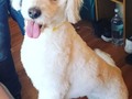 Mejórate pronto bb mio,  me parte el corazón haberla dejado hospitalizada ya la extraño 😔 😢 😭 💔 yo se que usted es fuerte bb.  los papás la estaremos esperando te amo mucho bb.