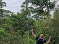 🇧🇷🌳