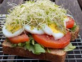 Y mi cena estuvo riquísmaaaa! . Preparé 1 rebanada de mi pan “Low Carb” con aguacate, huevo cocido y alfalfa. Y otra rebanada con arúula, tomate, huevo y alfalfa #diosdelavida al infinito y sin retorno. . Y es que no se imaginan el tiempo que tenía sin comer pan en la cena, ya ni lo soñaba jajajaja, antes de sacar esta maravilla que tan solo tiene 2g de carbohidratos 😱 . Lamentablemente solo lo vendo en Miami y hago envíos a todo USA por mi tienda Yosyfinol.store pero les prometo que al salir de todo esto del #coronavirus me las ingenio para llegar al mundo entero con esta ricura 🙏🏻 . #YosyFinol #CenasSaludables