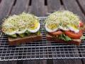 Y mi cena estuvo riquísmaaaa! . Preparé 1 rebanada de mi pan “Low Carb” con aguacate, huevo cocido y alfalfa. Y otra rebanada con arúula, tomate, huevo y alfalfa #diosdelavida al infinito y sin retorno. . Y es que no se imaginan el tiempo que tenía sin comer pan en la cena, ya ni lo soñaba jajajaja, antes de sacar esta maravilla que tan solo tiene 2g de carbohidratos 😱 . Lamentablemente solo lo vendo en Miami y hago envíos a todo USA por mi tienda Yosyfinol.store pero les prometo que al salir de todo esto del #coronavirus me las ingenio para llegar al mundo entero con esta ricura 🙏🏻 . #YosyFinol #CenasSaludables