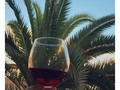 Viernes de Vino!! En esta foto dos cosa que me gustan mucho el vino y las palmas. 🍷🌴 buenas noches!😘 ⠀⠀ ⠀⠀ Venerdì di Vino! in questa foto due cose che mi piacciono molto il vino e le palme.🍷🌴 notte ragazze!😘 #picoftheday #instamamme #smile #love #viernes #fridaymood #vino #mammeoggi #bestmoments #mamablogger #mamimiele3 #mammaltalena5 #avventuredimamme #momfit4 #chiaekia