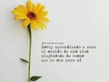 Mantra del día
