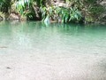 Parque Nacional Yurubi sector Guayabito #yaracuy