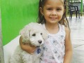 La princesa de la tia con #Locky #Dog #Cachorro #Baby #poodle #30D