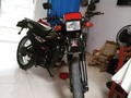 🤠 un caballito #tattoos #yamaha #colombia #cucuta