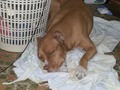 ♥ donde quiera que estés, te amo burda y te extraño.