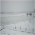 bostjan888