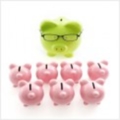 budgetmom