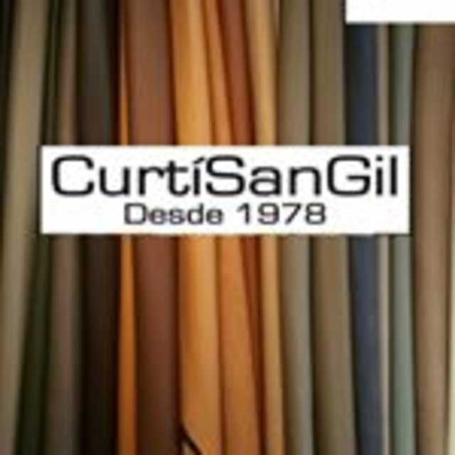 curtisangil