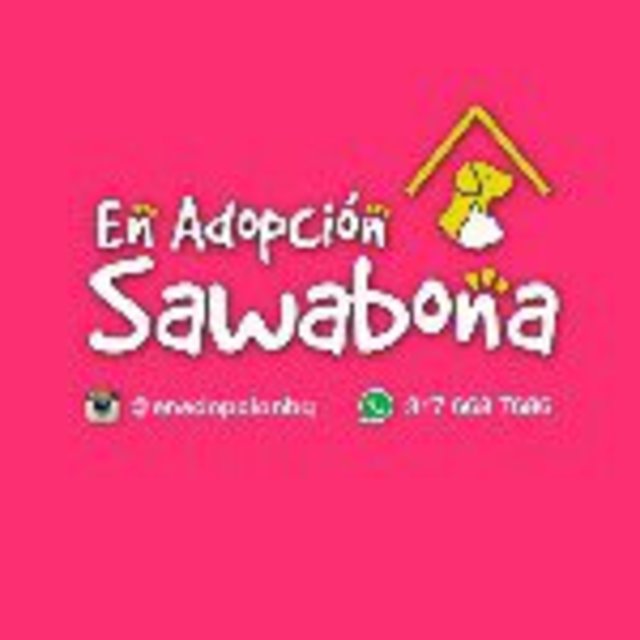 enadopcionb