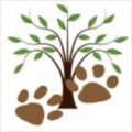 forestbear
