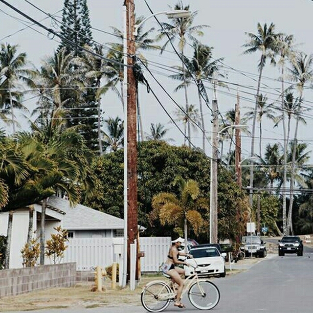 jaquelinsalgado