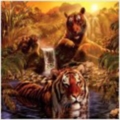javajunky026