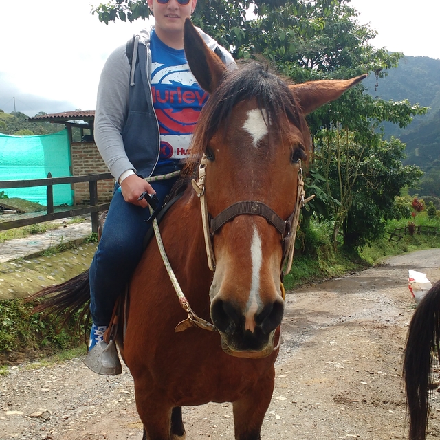 juancamilo10