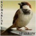 LittleSparrow