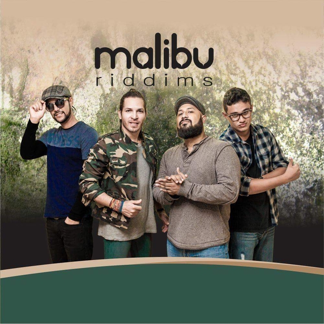 maliburiddims