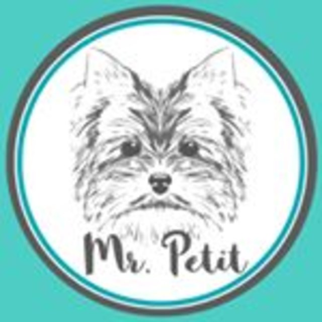 mrpetitdog