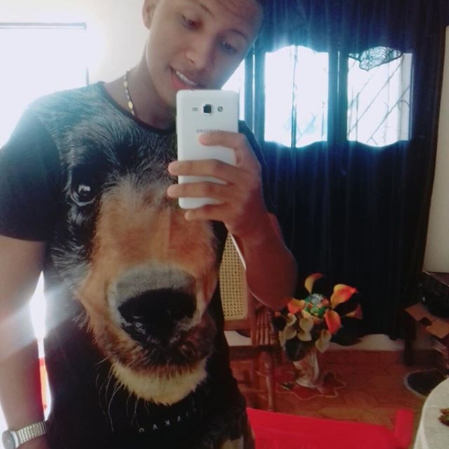 soyhanselariza