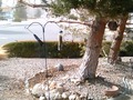 the bird feeders take flight during the 90 mph wind storm last Friday